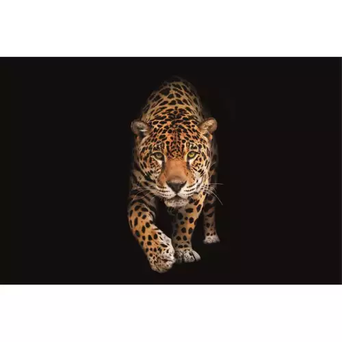Gefleckte Wildkatze - Panther 300x200x2cm Matte