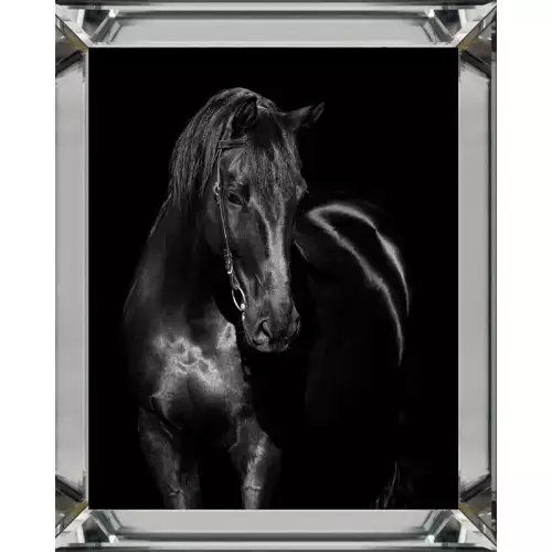 Schwarzes Pferd 3 40x50x3cm