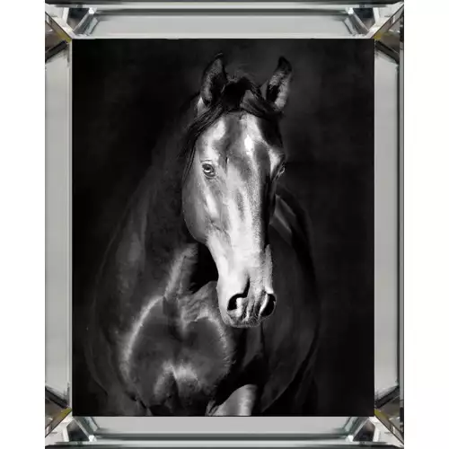 Schwarzes Pferd 2 40x50x3cm