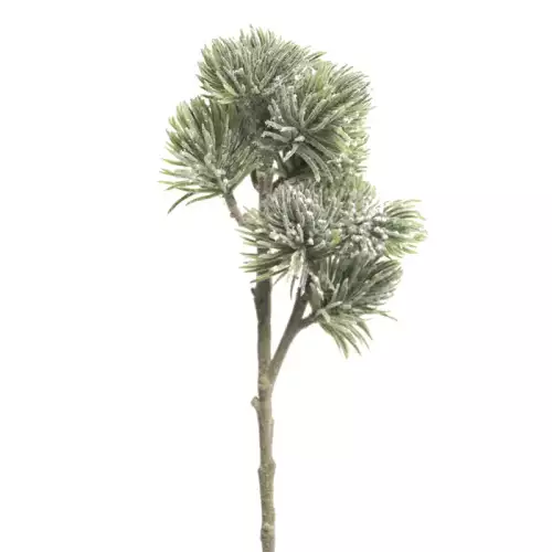 Pinus Spray Mugo Beflockt 58cm