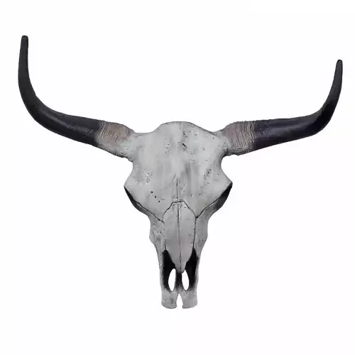 Gazelle Trophäe 60x15x70cm Kopf