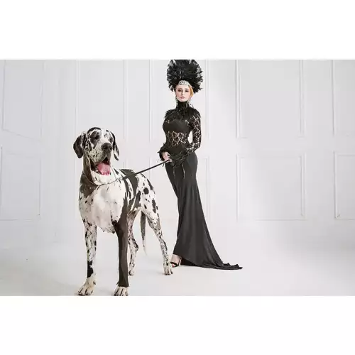 Hazenkamp Fachhändler Mode Junge Frau & Großer Hund 180x120x2cm (109017)