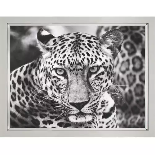 Junger Leopard 90x120x3cm