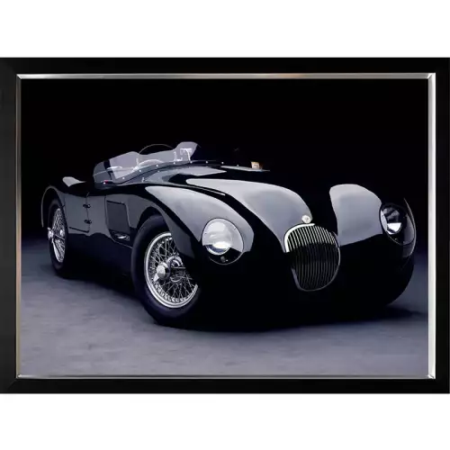 1951 Jaguar C-Type 120x90x3cm