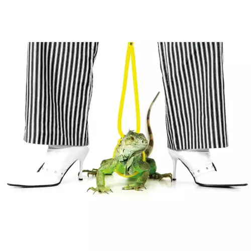 Grüne Iguna/Gestreifte Hose 80x120x2cm