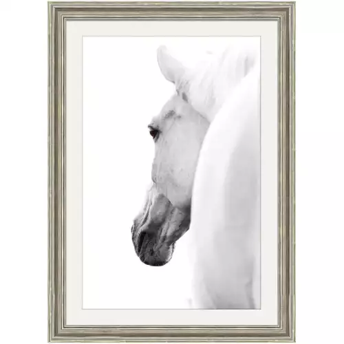Weißes Pferd 2 70x90x3cm