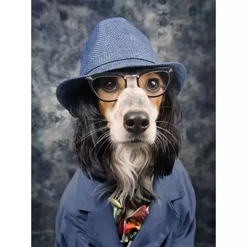 Hazenkamp Fachhändler Hund mit blauem Hut 60x80x2cm (108435)