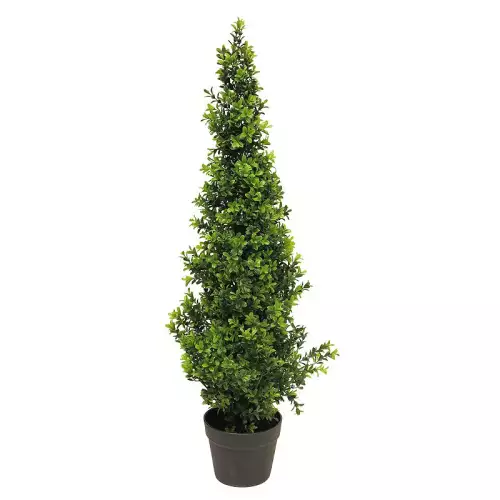 Buchsbaum Orion spitz zulaufend grün 90cm