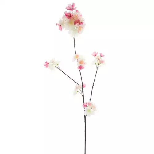 Hazenkamp Fachhändler Prunus Malaga Spray Schönheit/Creme 84cm (200991)