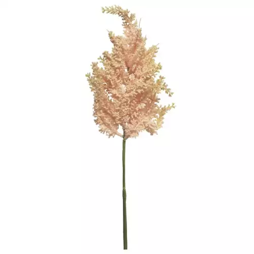 (Best) Astilbe Spray rosa 70cm