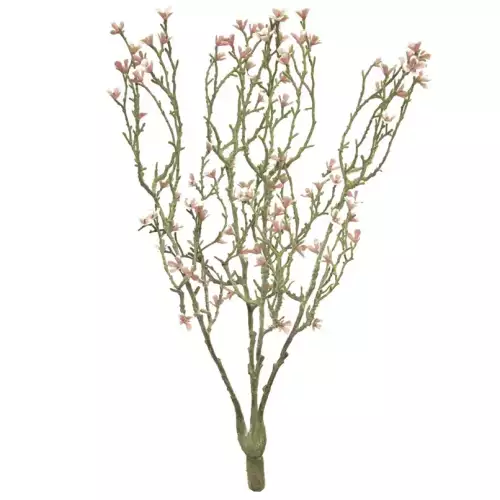 (Best) Mini-Sternblumenstrauch rosa 44cm