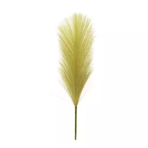 Hazenkamp Fachhändler Reed Spray Uden Pfirsich 78cm (201007)