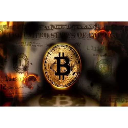 Bitcoin burns Dollar 160x110cm